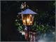 Garden Lantern Boccaccio in Lighting