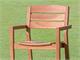 Garden teak armchairs Nico in Outdoor