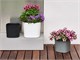 Design vases Capri in Outdoor