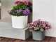 Design vases Capri in Outdoor