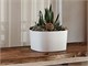 Low square planter Rodi in Outdoor