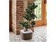 Low square planter Rodi in Outdoor