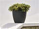 Modern design vases Duna in Outdoor