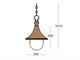 Outdoor pendant lamp Columba 01 in Lighting