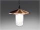 Outdoor pendant lamp Volans 01 in Lighting