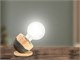 Table lamp Calypso in Lighting