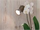 Bedroom wall light Azali 1521 in Lighting